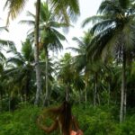 Lilliana Bowrey Instagram - more captures from 🇮🇩❤️