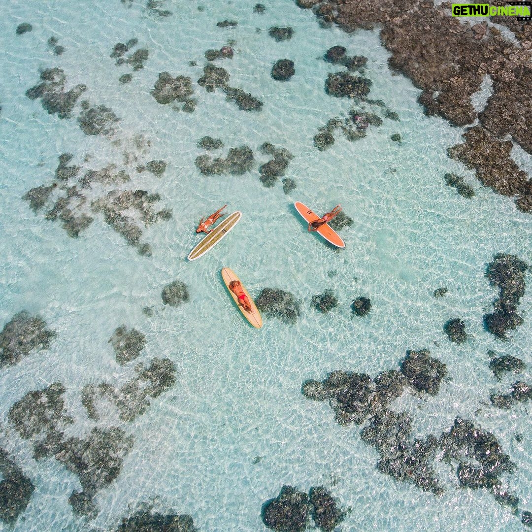 Lilliana Bowrey Instagram - a forever shot by @bacconphoto Maldives