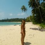 Lilliana Bowrey Instagram - will never get over this magical place. 🧚🏾‍♀️🩵 here’s a dump bc I’m reminiscing majorly. Botik Resort Mentawais