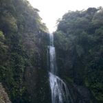 Lilliana Bowrey Instagram - HARIKOAA Piha Beach