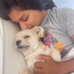 Lilly Singh Instagram - A Birthday Girl 🎈The older you get, the weirder birthdays get, amirite? Everyone keeps asking me what my plans are and honestly all I want to do is lay outside with my dog, amongst nature and reflect on all the reasons I have to be grateful. I’m literally horizontal as I type this. When I was younger, my birthday was all about me. My gifts, my party, my favourite flavour of cake. But now, I want nothing more than to celebrate my birthday through being of service to others. The universe has granted me such an abundant life and I want to share what I can, with those that need it. So for what may be the 100th time this week, I will remind you that my charity birthday campaign ends tonight. I’m raising money for Unicorn Island Fund, in support of girls and women in India. And I’m putting my money where my mouth is and donating $35k myself. So, if you haven’t yet donated, this is your last chance! You can donate from anywhere in the world, in 3 ways: 1) Right here on this IG post. 2) Visit UnicornIsland.com and click donate. 3) Facebook.com/LillySingh (which I’ve been told is the most user-friendly for international folks. They also accept PayPal!) Over the past few weeks, I’ve posted all about where exactly the money goes and I’ve tried my best to make you intimately familiar with the issue at hand. Thank you for holding space for that. Thank you all for the birthday wishes. I deeply appreciate you lovely unicorns and do not take this community for granted. Together, we achieve some pretty amazing things. Thank you God for another lap around the sun. I know you check my IG frequently, so giving you a massive shout out. Please forgive me for any faults and please guide me to be the best version of myself to fulfil my purpose 💜 Love y’all x