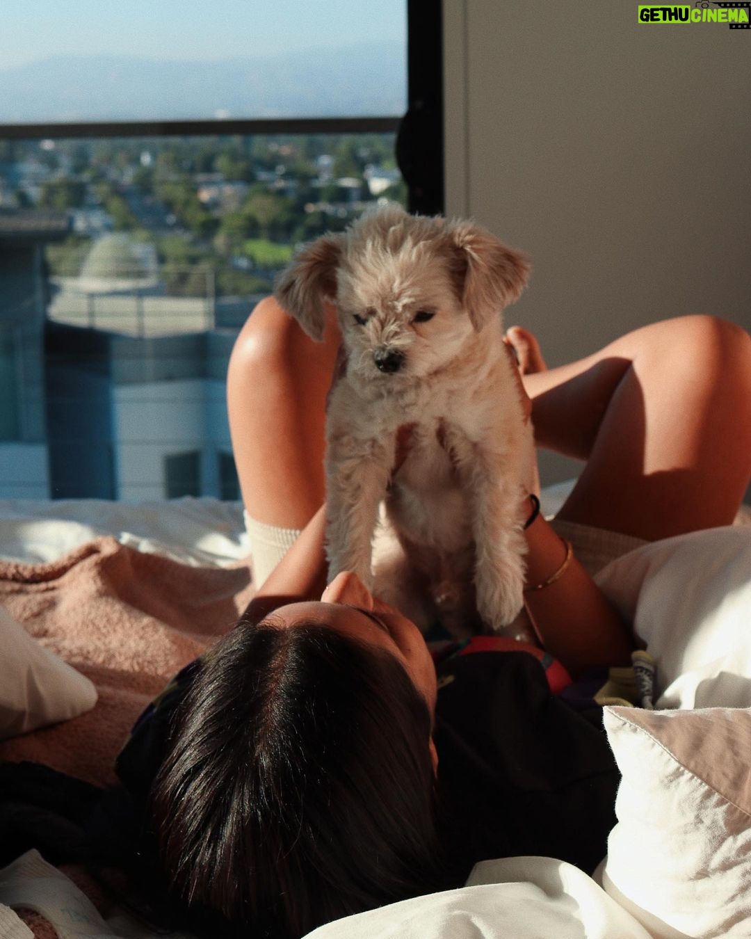 Lilly Singh Instagram - Golden hour with my boy. Drop a ❤️ below to give him a virtual belly rub.