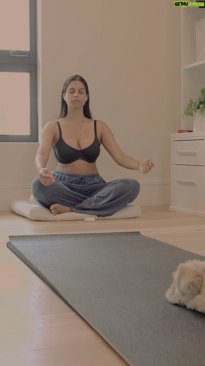 Lilly Singh Instagram - High Vibe Morning Routine ❤ I’ve recently been fine tuning a morning routine that works for me. Some essential items include:
🧠: meditation
❤️: self-love
🙆🏽♀️: stretching
☕️:️ tea
☀️: nature
🐶: dog time And now that I’ve FINALLY found a bra that actually fits me, I’m adding “putting on bra” to the list 🙏🏽 Seriously, this is a big statement coming from me because usually everything hurts my neck and back 😍✨What’s your morning routine like 👇🏽 #SKIMSPartner