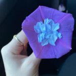 Lily-Rose Depp Instagram – Dans mon jardin d’hiver🔐