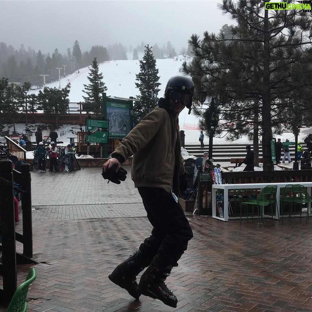 Lily-Rose Depp Instagram - Walker on ice😵 @walkerbunting