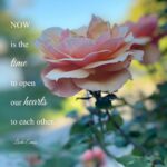 Linda Evans Instagram - Some things you can’t control, but the things you can deserve all the love you can give. 🌷💖🌸 📸: Laura Schuman
