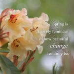 Linda Evans Instagram - Aspiration is the heart of change 🌟 📸: Laura Schuman