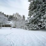 Linda Evans Instagram - I was utterly and absolutely captivated by this spectacular snowfall! ❄️ I wish you could all feel the beauty and calm that it created. Thanks to the miracle of pictures, this vision will never melt away.💎 I’m both thrilled to have it and share it with you. 🎊