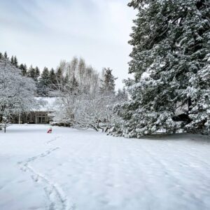 Linda Evans Instagram - I was utterly and absolutely captivated by this spectacular snowfall! ❄️ I wish you could all feel the beauty and calm that it created. Thanks to the miracle of pictures, this vision will never melt away.💎 I’m both thrilled to have it and share it with you. 🎊