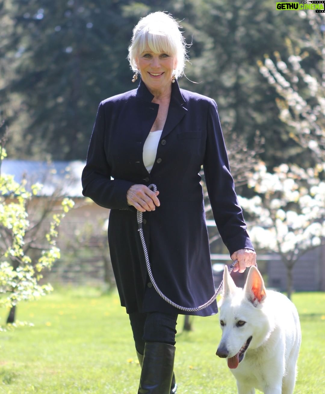 Linda Evans Instagram - I had the honor of being featured in Amazing Wellness to share how I embrace mind-body practices. My mantra is all about the precious present. I’m grateful for the long walks I take with Alexie. We are always in nature, walking along the river and weaving our way through the forest. It’s an invigorating workout full of movement and fresh air. I love it. 💛 #WellnessWednesday 📸: Laura Schuman