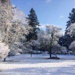 Linda Evans Instagram - I’m in awe of the magical snowfall in my orchard and how the sun sparkles on icey leaves. There is nothing more glamorous than nature.❄️