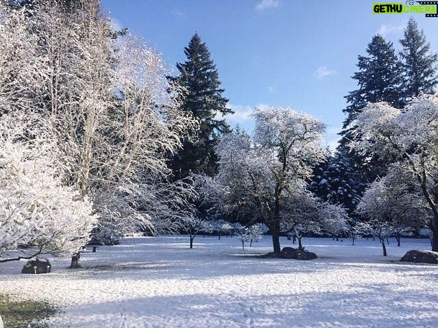 Linda Evans Instagram - I’m in awe of the magical snowfall in my orchard and how the sun sparkles on icey leaves. There is nothing more glamorous than nature.❄️