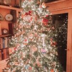 Linda Evans Instagram - Wishing you and yours the sweetest and happiest of holidays filled with radiant joy, true love in all forms, and bright healing light from Alexie & me.🎄💖🌺