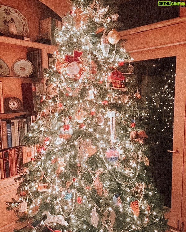 Linda Evans Instagram - Wishing you and yours the sweetest and happiest of holidays filled with radiant joy, true love in all forms, and bright healing light from Alexie & me.🎄💖🌺