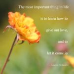 Linda Evans Instagram - Your loving words and thoughts this past week filled my heart! May my gratitude fill yours! 💛
