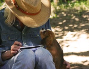 Linda Evans Instagram - Max, my sister’s dog, is one of my favorite writing partners. 🐶

Over the years I've found it so fulfilling to write my thoughts down, as often as I can. When we set pen to paper, our souls become quieter and our thoughts clearer. 💛

#writingpartner #journaling #creativewritings #momentsofmindfulness #mindfulmoments #strawhat