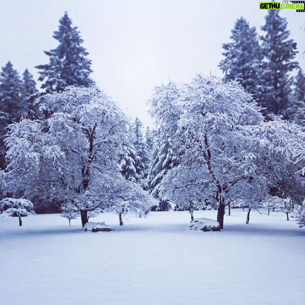 Linda Evans Instagram - A heavenly 12-inch blanket of snow transformed my orchard into a Wonderland. ❄️💎🌨