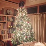 Linda Evans Instagram - I woke up with such gratitude on this magnificent day 🌟 The Spirit of Christmas, celebrated all over the world, is greater than the discord we hear day after day. Our hearts are stronger than the fear that surrounds us. Two of the most important gifts we can give ourselves and others is Forgiveness and Love. 🙏 My heart is filled with compassion for all of the journeys and challenges that are making us strong. 💛 I wish you happiness, hope for the new year, and love in your hearts. 💖