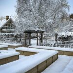 Linda Evans Instagram - I was utterly and absolutely captivated by this spectacular snowfall! ❄️ I wish you could all feel the beauty and calm that it created. Thanks to the miracle of pictures, this vision will never melt away.💎 I’m both thrilled to have it and share it with you. 🎊