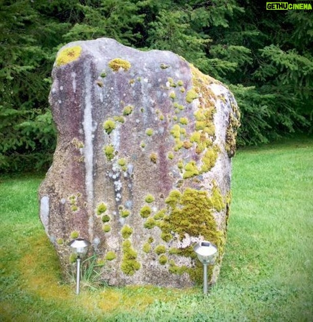 Linda Evans Instagram - The magnificent rock in my orchard stands tall and reminds me often... 🍃⠀ ⠀ “There will always be rocks in the road ahead of us. They will be stumbling blocks or stepping-stones; it all depends on how you use them.” ~ Friedrich Nietzsche