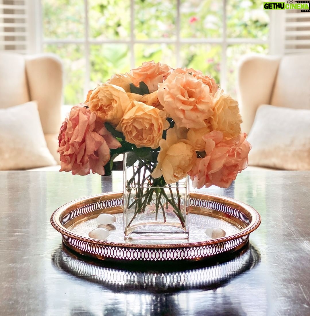 Linda Evans Instagram - Mothers fill our lives with love and guide us with lessons, insights and soul. π You shape our world in the most magnificent ways -- and for that, I am immensely grateful. π β πΈ: Laura Schuman
