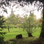 Linda Evans Instagram - It’s beautiful to step outside my house and see it through the trees of my forest. I relish the quiet view these days have given me. Sometimes the further away we are, the clearer we see what really matters.🍃
