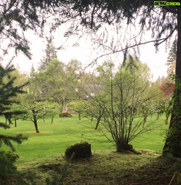 Linda Evans Instagram - It’s beautiful to step outside my house and see it through the trees of my forest. I relish the quiet view these days have given me. Sometimes the further away we are, the clearer we see what really matters.🍃