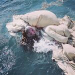 Linda Lapinsh Instagram - Вопросы сегодняшнего дня : 1. Кто друг по несчастью , а кто продолжает играть ?🖤💣 2. Если представить , что в финальную версию сериала не вошла одна сцена Кемпиннен и Деда .... На ваш взгляд , о чём она могла бы быть ? ЧЕЛЛЕНДЖ проходит на высоте ! Очень много крутых постов 💣! Даже есть любимчик 🖤🦾 #линдалапиньш#викториякемпиннен#ИгранаВыживание #ТНТ #Premier #Амедиа #Amedia @tnt_online @premier_online @amediaproduction Версия для крепких нервов 23:00 на @premier_online 💣 Версия для нетерпеливых в 22:00 на ТНТ 👁