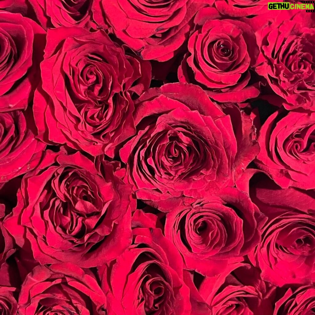 Lindsay Lohan Instagram - Happy Saint Valentine’s Day ❤️❤️❤️