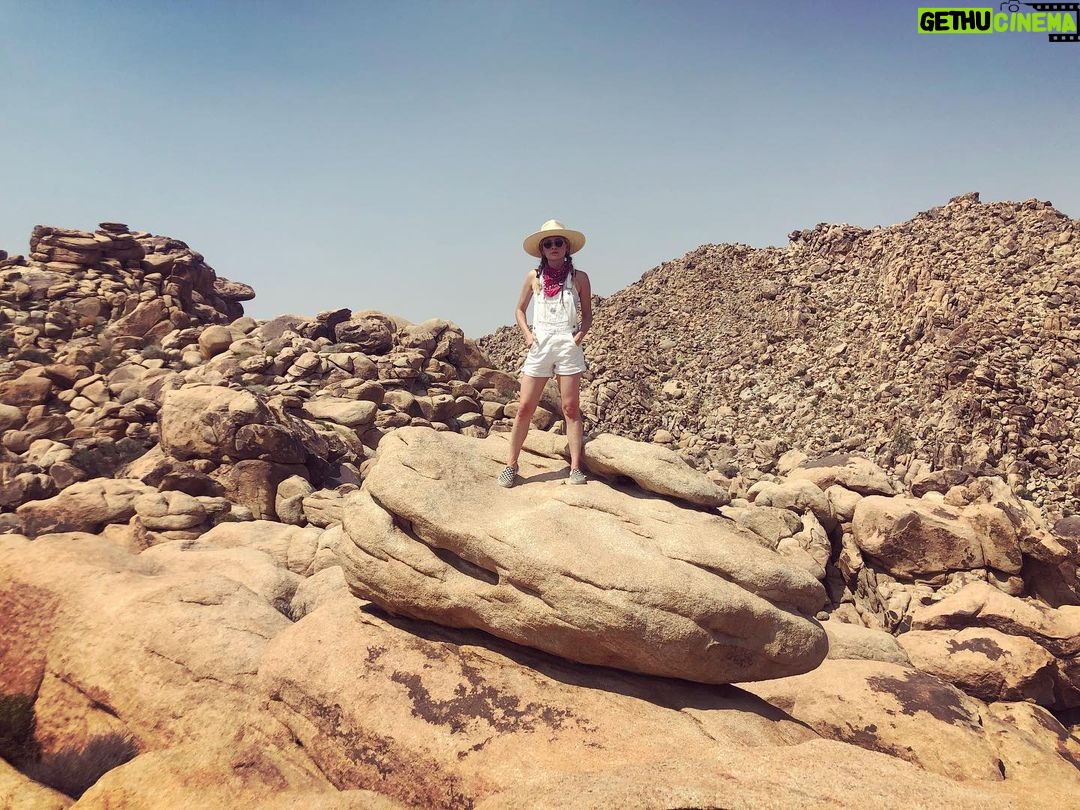 Lindsey Gort - 878 Likes - 🌵 home sweet rocky home 🌵
