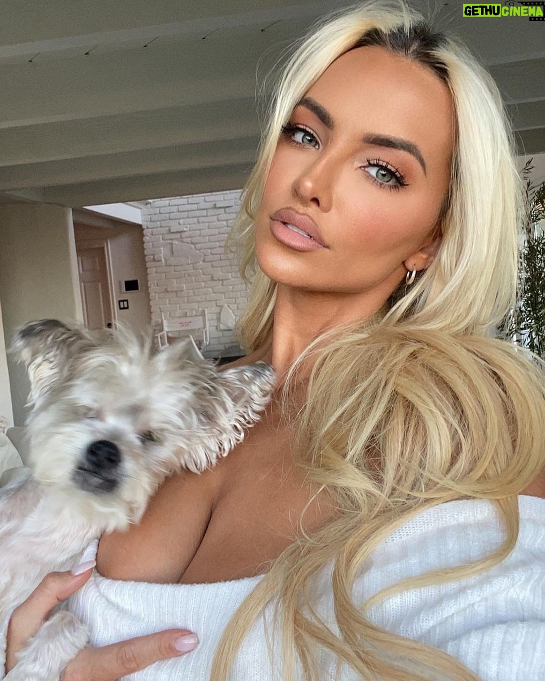 Lindsey Pelas Instagram - a warm November good morning to you 🌹