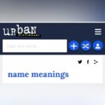 Lisa Lampanelli Instagram - The @urbandictionary couldn’t be more wrong about our names! #urbandictionaryyourname — Losers with a Dream podcast available on ITunes, Spotify and YouTube. New episodes every Tuesday at 8 am EST. LINK IN BIO. #recovery #podcast #podcastersofinstagram #podcasters #recoverypodcast #traumarecovery #selfhelp #selfcare #comedy #addiction #funny #selflove #standupcomedy Loserville