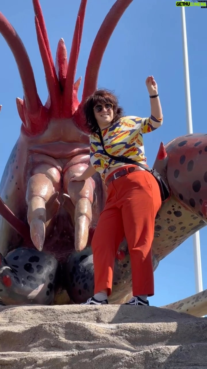 Lisa LeBlanc - 2.4K Likes - MOTHER, MAME.
#godbless #lobster #lobsterroll #acadie #nouveaubrunswick #newbrunswick #maritimes #shediac