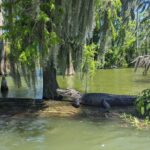 Lisa LeBlanc Instagram - Bayou Boogie!