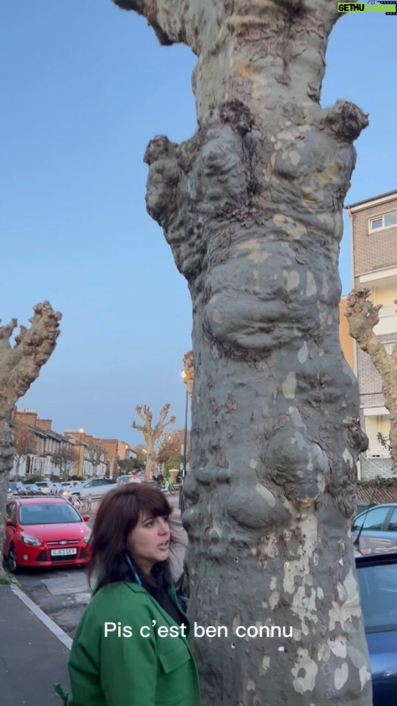 Lisa LeBlanc Instagram - Chiac Tours: Londres. Aujourd’hui je vous parle des arbres de gingembre natif de la ville et comment on extract le sirop. Enjoy. 🫚🥰 #nominatedguinessworldrecordbesttourguide #chiactours #tourguide #chiac #acadie #eurotrip #ginger #gingerjuice #london #uk