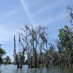 Lisa LeBlanc Instagram - Bayou Boogie!