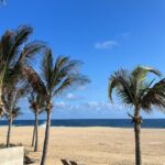 Lisa Rinna Instagram - Cabo photo dump birthday edition 🌴🌴🌴🌮🌮🌮 Cha Cha Cha 🌶️