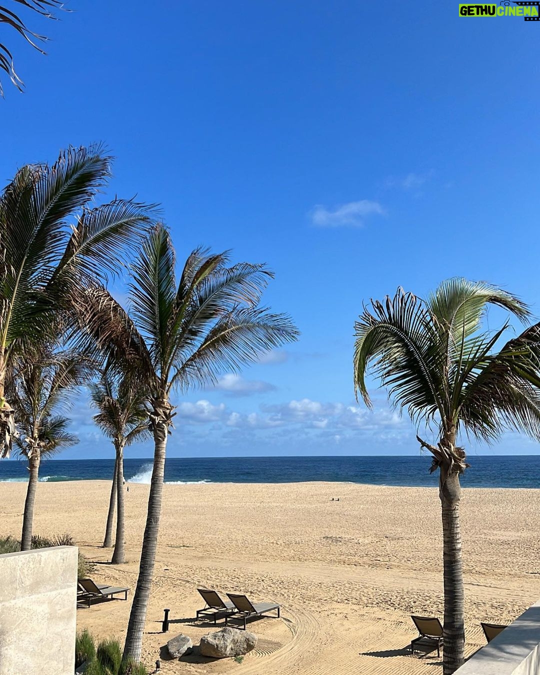 Lisa Rinna Instagram - Cabo photo dump birthday edition 🌴🌴🌴🌮🌮🌮 Cha Cha Cha 🌶️