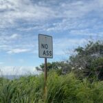 Lisette Olivera Instagram - life lessons