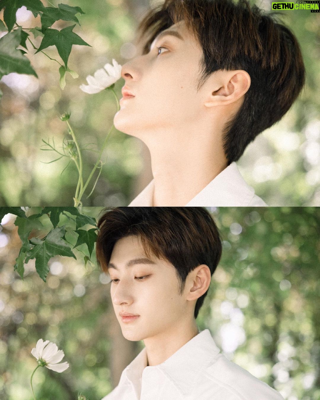 Liu Te - 54.2K Likes - Summertime.