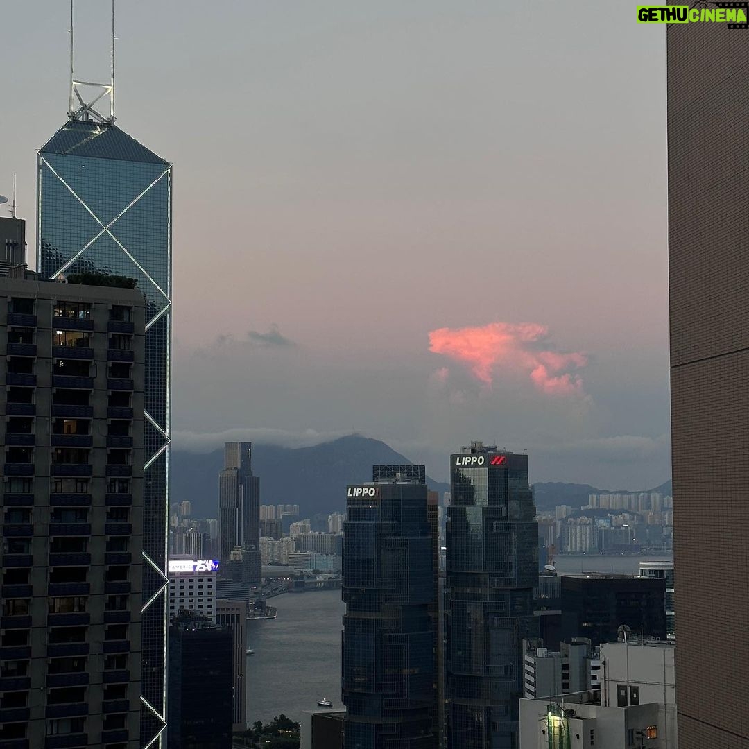 Liu Te - 64.1K Likes - 🌄#hongkong