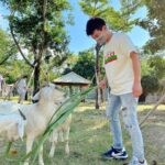 Liu Yu Kai Instagram - 餵你吃飽飽！ 頑皮世界野生動物園(Wanpi World Safari Zoo)