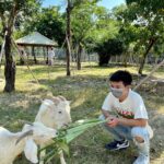 Liu Yu Kai Instagram - 餵你吃飽飽！ 頑皮世界野生動物園(Wanpi World Safari Zoo)