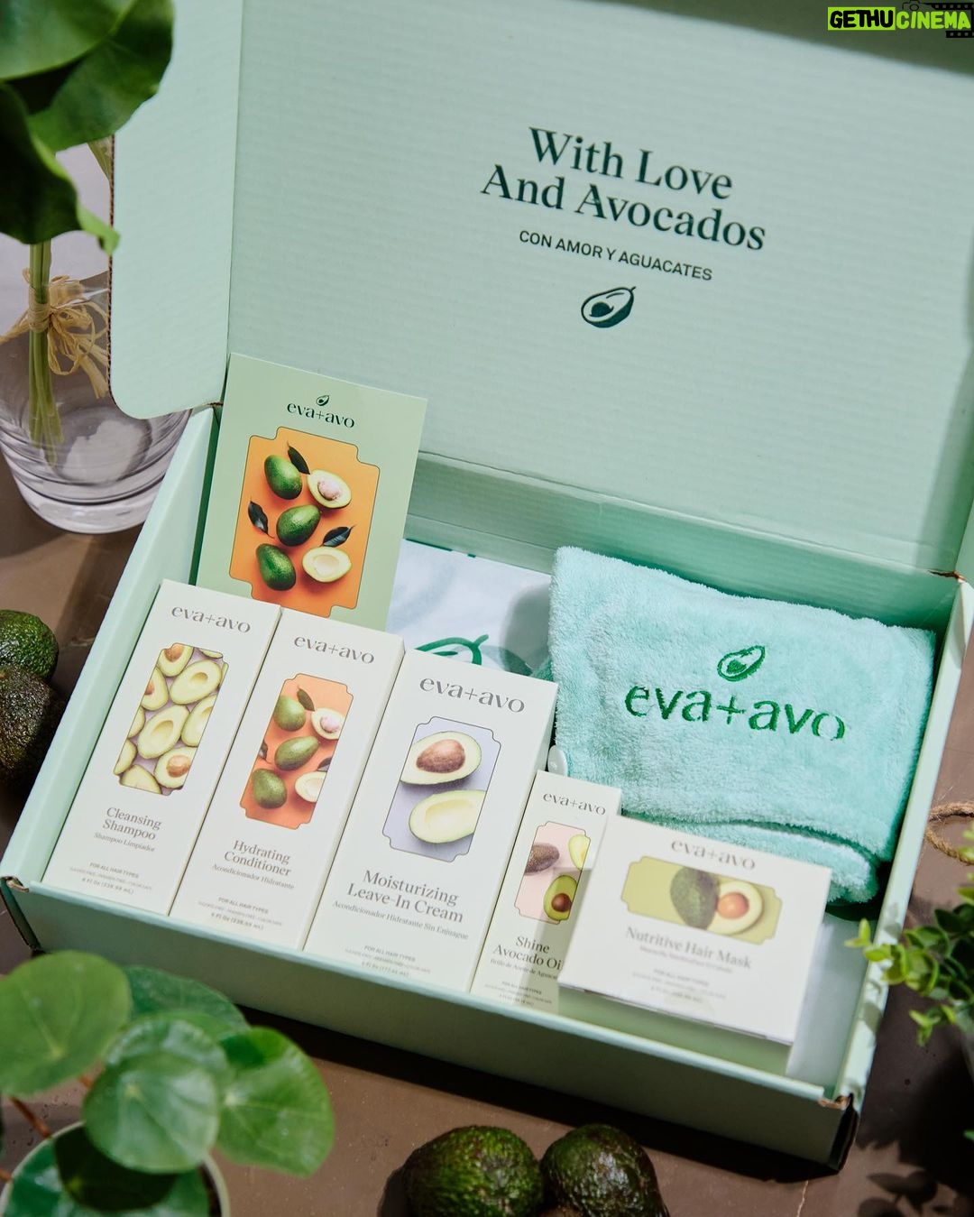 Livia Brito Pestana Instagram - Ā”Que nunca nos falte el amor... ni el aguacate š„! Mis BRiLLiTOS el fin que viene es BlackFriday y @evaavobeauty va a tener unos descuĆ©ntazos.. Les juro que es un apapacho al cabelloš