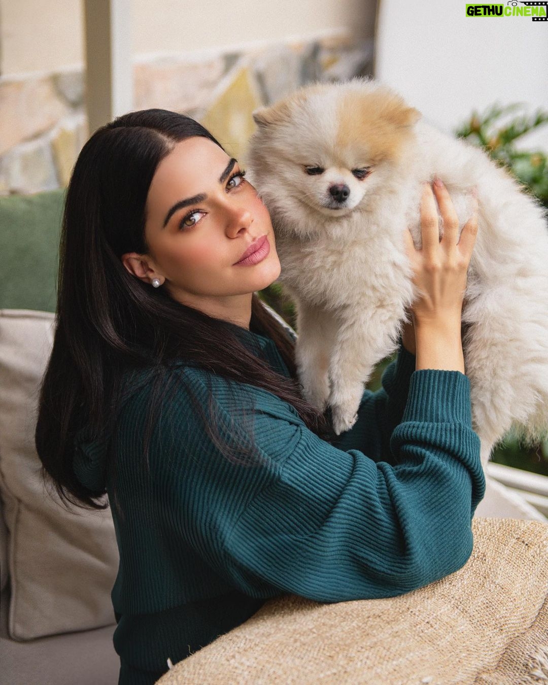 Livia Brito Pestana Instagram - Sabes que eres afortunada cuando te siguen 4 patitas por toda la casa 🐾 . . ¿Cuál es tu animal favorito bebé? Los leo 👀