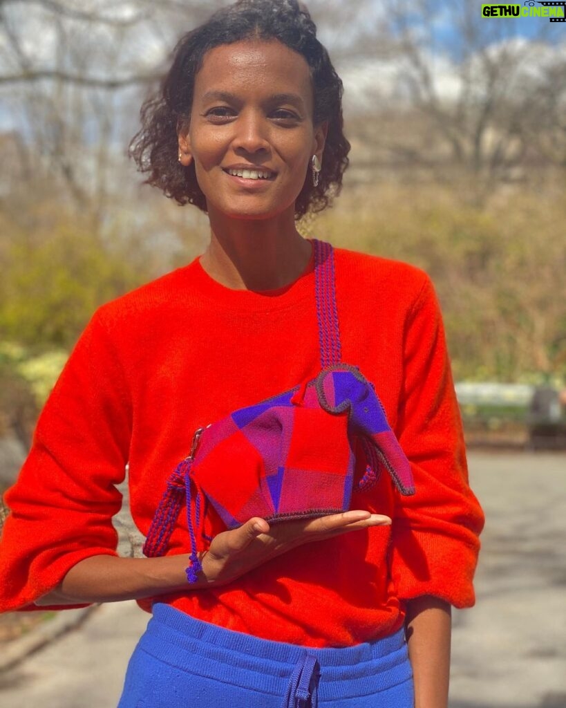 Liya Kebede Instagram - @loewe mini Elephant bag matching my outfit 😂 ❤️❤️details made by women from the Samburu Workshop in Northern Kenya- collaboration with #KnotOnMyPlanet to help secure a future for elephants and raise money for the @ElephantCrisisFund #loewekomp #elephantcrisisfund #loewe