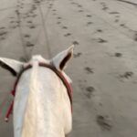 Liya Kebede Instagram – #puravida 🐎