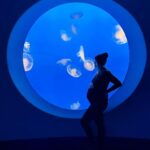 Liz Trinnear Instagram - Can’t wait to bring the tiny bubs back to this unbelievable aquarium 🐠🌊🦀🦦@visitcalifornia Monterey Bay Aquarium