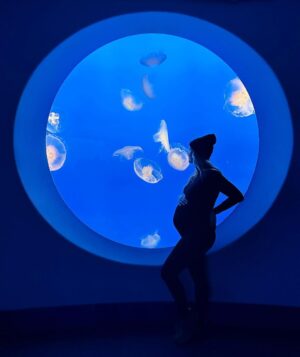 Liz Trinnear Instagram - Can’t wait to bring the tiny bubs back to this unbelievable aquarium 🐠🌊🦀🦦@visitcalifornia