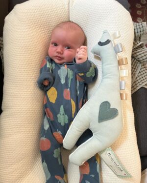 Liz Trinnear Instagram - One month of Nico and we couldn’t be more in love and in awe of how much she’s grown. Our world has forever changed for the better with her in it. 

We found out about Nico’s limb difference at our 20 week ultrasound. I will never forget the moment and the way the room was spinning, or the feeling of Nat’s hand squeezing mine. I don’t think anyone can prepare you for a moment like that. 
Nico’s limb difference results from an unavoidable, undetectable occurrence that happens at around 6 weeks into fetal development where the limb stops growing. 

After meeting with a team of doctors and medical staff, there is one thing we are sure of - these kids are magical little beings who come into the world and show us their way, with happiness, strength and courage. They excel at “figuring it out.”

Bit by bit we told our family and friends about Nico’s arm throughout the rest of our pregnancy. Each person showed us an immense amount of love and support and told us “we can’t wait to meet her” - we felt the same way. 

I remember texting a friend, “how can I be so proud of someone I haven’t even met yet?” And in all honesty, I have always been and I will always be so proud of her. Every milestone she passes, big or small.

Growing up with a “difference” is something I am familiar with. I have Epidermolysis Bullosa Simplex, a condition that causes painful blistering of the skin. Thankfully Nico will never have the pain of EB, but she will face some obstacles. 

My difference taught me to look at the world with a kinder eye - you never know what someone is going through. My dream for Nico is that she never feels one ounce of limitation, and that she chases after anything she wants to do and achieve. One thing is for sure: she will do whatever she sets her mind to. 

Our Nico has been the special soul we’ve been waiting for for a long time. She’s perfect just the way she is and I cannot wait to watch her take on this world and show us that nothing will ever stop her. 💫🌈💕 #limbdifference #limbdifferenceawareness